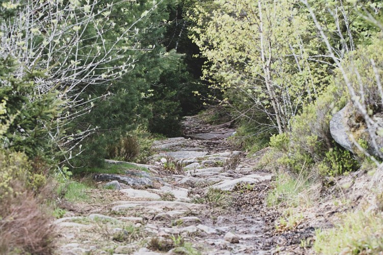 Hiking - From the peaks to a 360° view