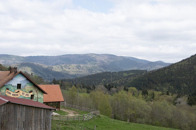 Randonnée - Des cimes vers une vue à 360°