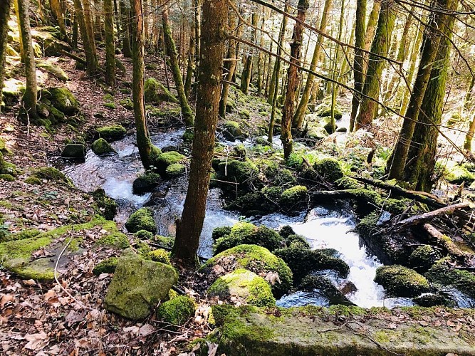 Etappenwandern - Die große Tour durch das Tal - Etappe 2