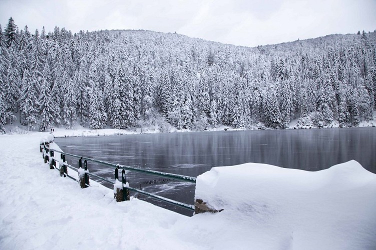 Snowshoe hiking : Tour 1 Lac Vert