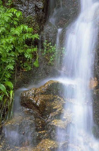 Rundwanderung D05 : Wasserfall von La Crache