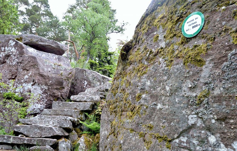 Etappenwandern - Die große Tour durch das Tal - Etappe 6