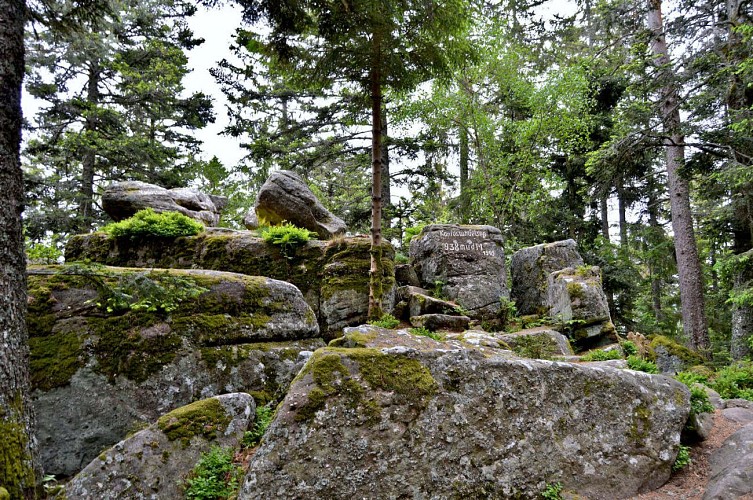 Etappenwandern - Die große Tour durch das Tal - Etappe 6