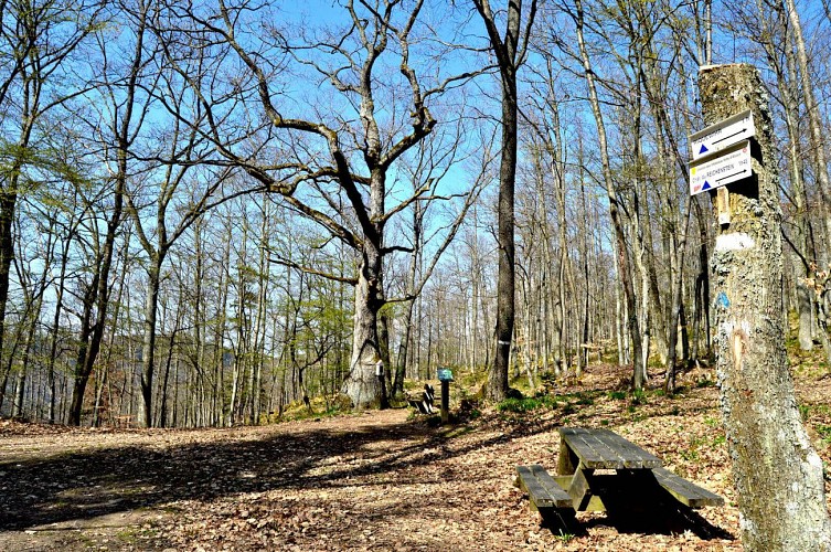 Etappenwandern - Die große Tour durch das Tal - Etappe 6