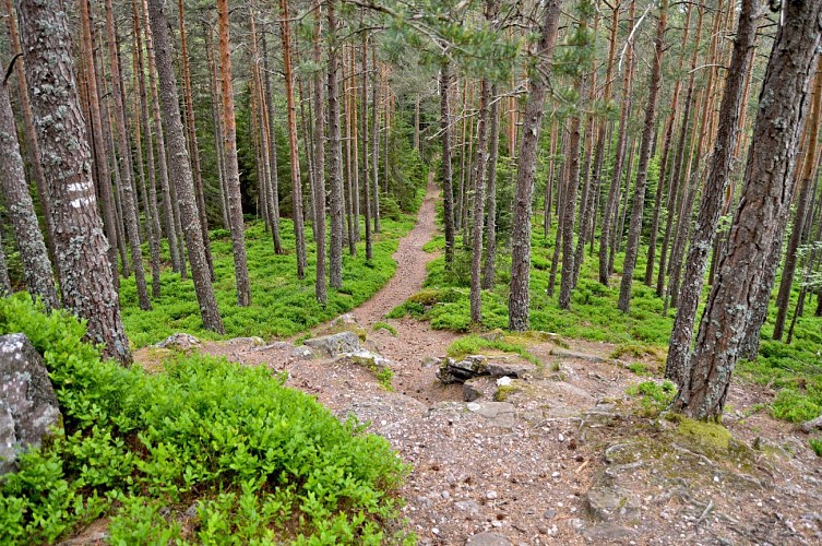Long distance trail - the big tour of the valley - Stage 6