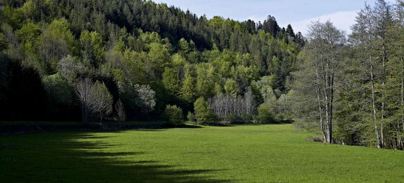 Hiking trail C33: From Schirmeck to the Vierge de Fréconrupt