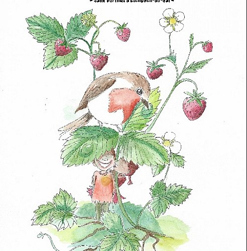 Sentier illustré des plantes sauvages