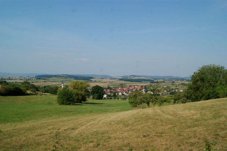 Circuit des Loriots