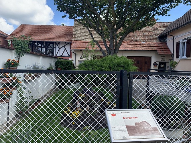 Walking tour: Path of the Hoftname