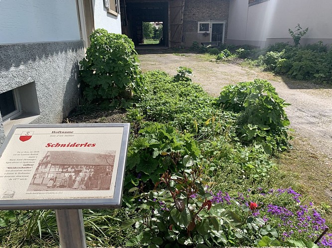 Walking tour: Path of the Hoftname