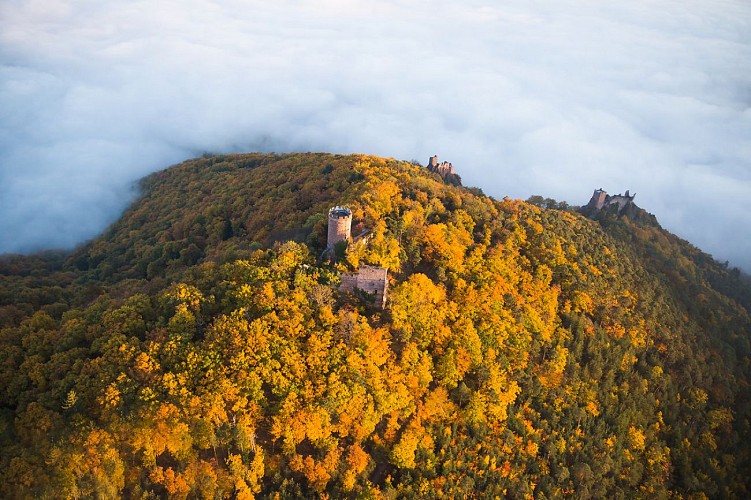 Ribeauvillé - Châteaux