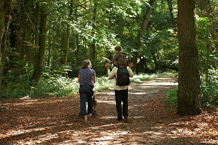 Balade en famille en forêt d'Oberhaslach