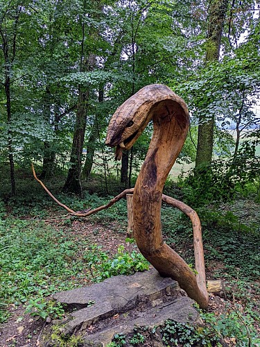 Cobra majestueux, sentier découverte de Raedersdorf