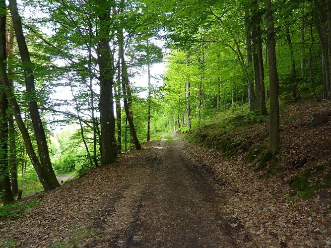 Rundgang für Kinderwagen - Faudé kleine Tour