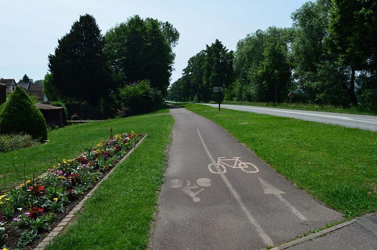 Véloroute Molsheim-Offenburg