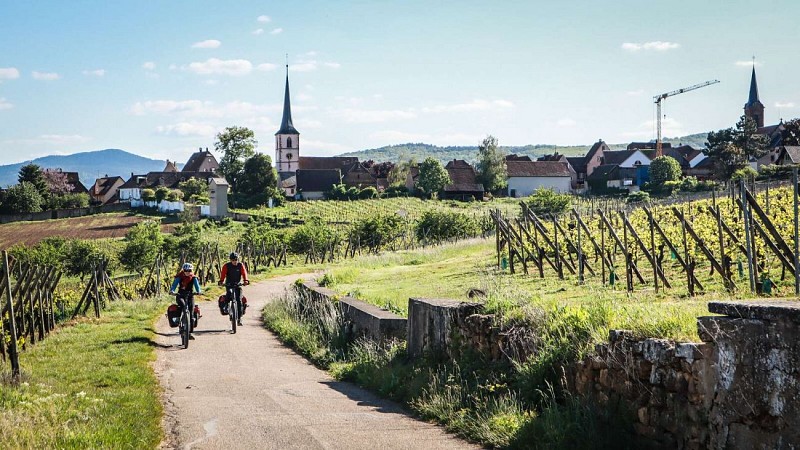 Alsace Vineyard Cycle Route