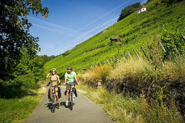 Alsace Vineyard Cycle Route