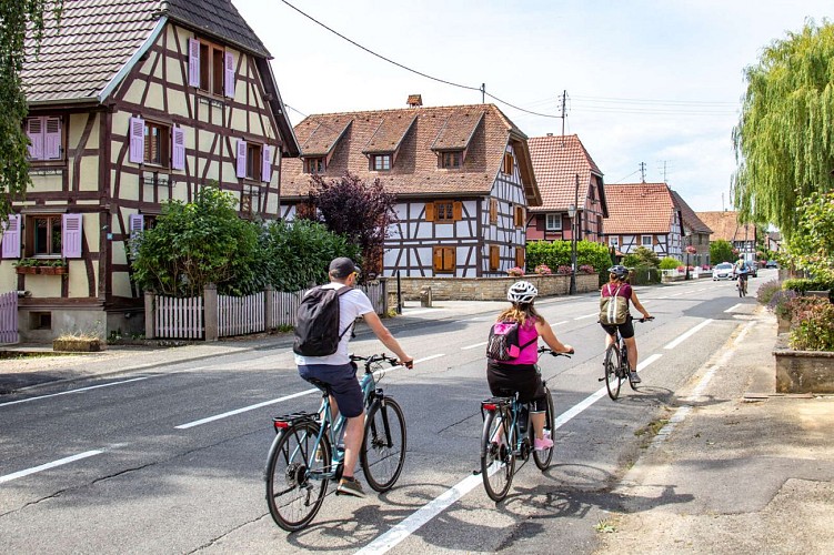 Radweg durch das Illtal - Teil Süd