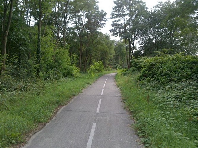 Radwandertour: Tour du Pays Rhin-Vignoble-Grand Ballon