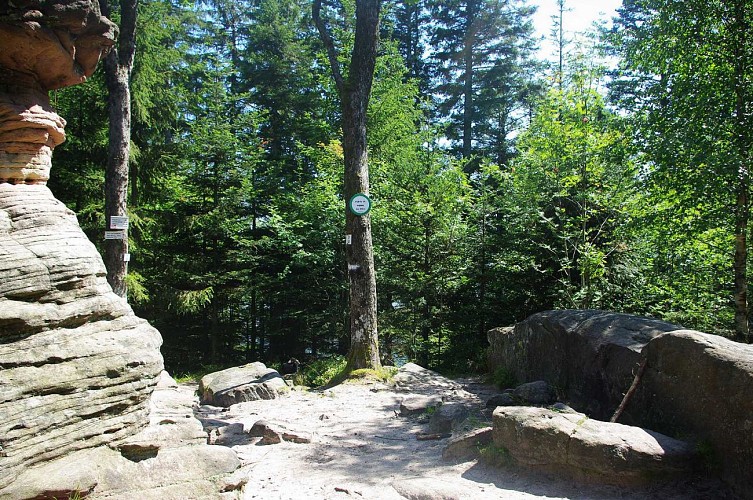 Hiking trail B02: The Mutzig Rock and the Porte de Pierre