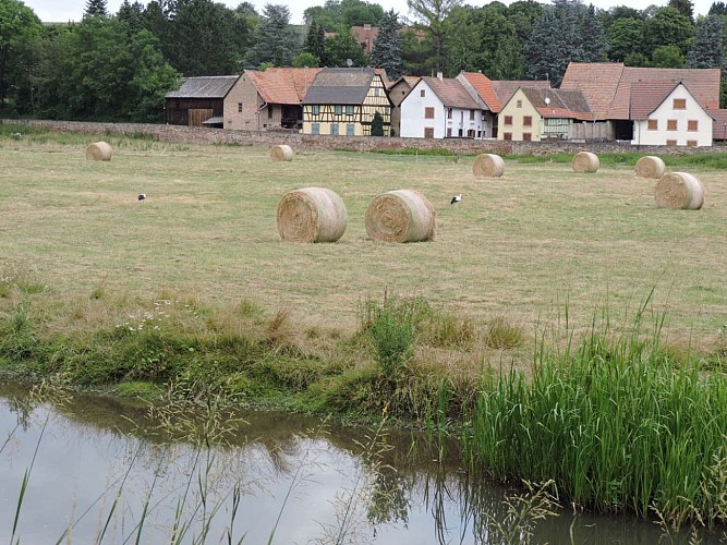 Cycling tour Along the water