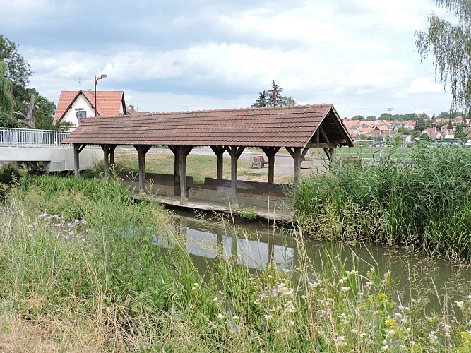 Cycling tour Along the water