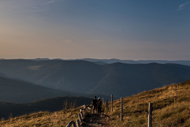 Circuit pédestre : tour panoramique du Grand Ballon