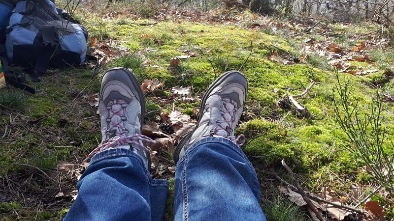 Wanderung des wild Gans