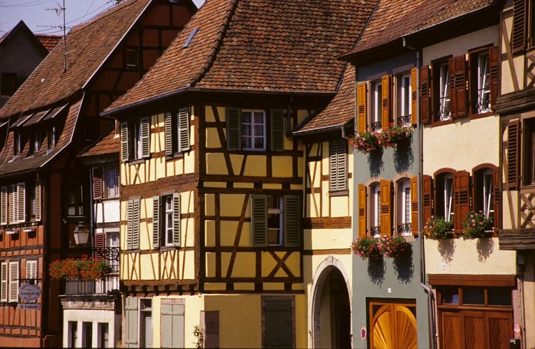 Barr - Route des Vins