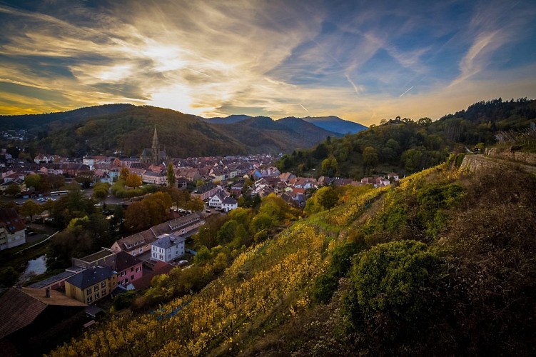 Thann et son vignoble le Rangen
