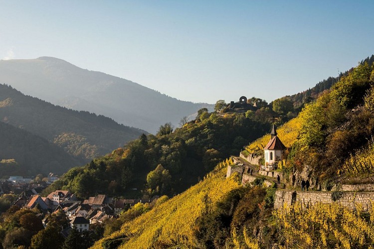 La chapelle Saint-Urbain dans le vignoble du Rangen à Thann