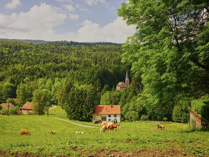 Du Hohwald au Kreutzweg