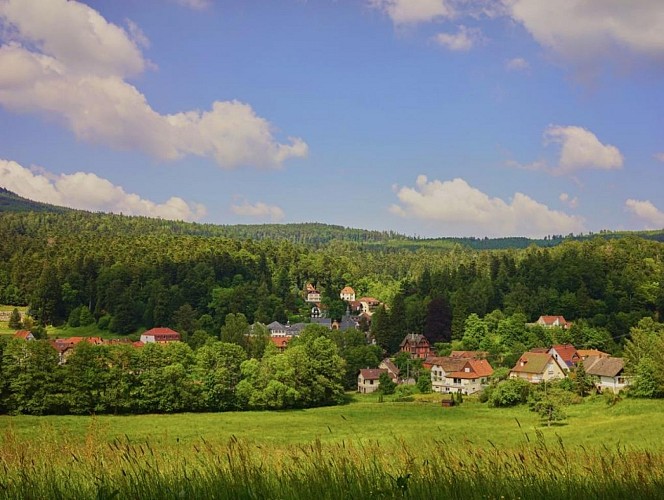 Du Hohwald au Kreutzweg