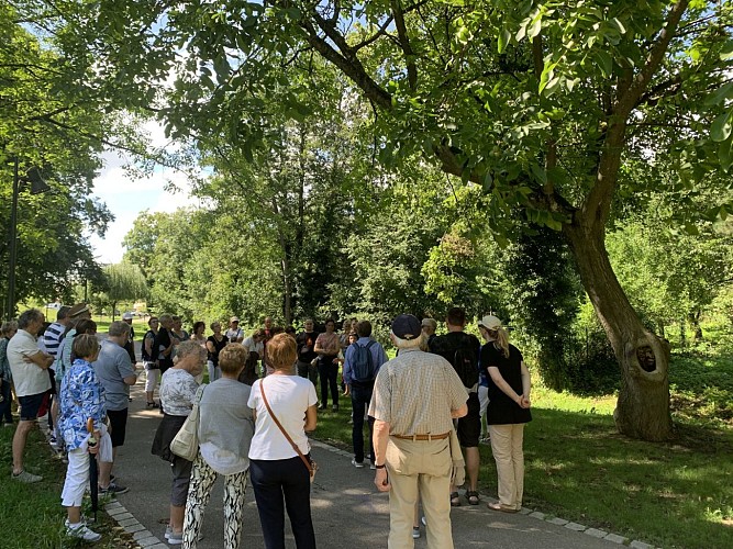 Le sentier trame verte et Hasensprung