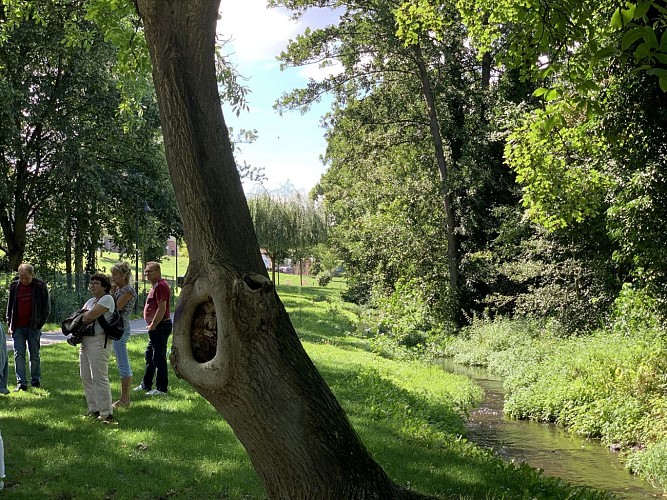 Le sentier trame verte et Hasensprung