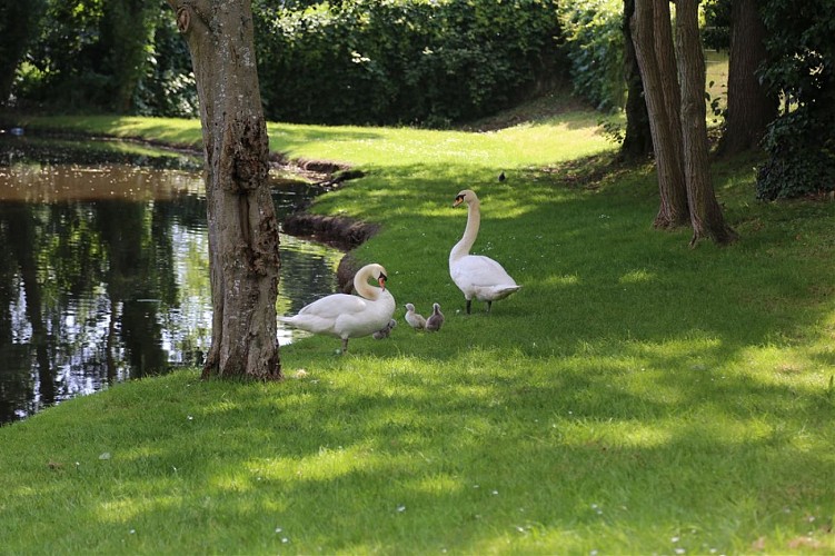 Le sentier trame verte et Hasensprung
