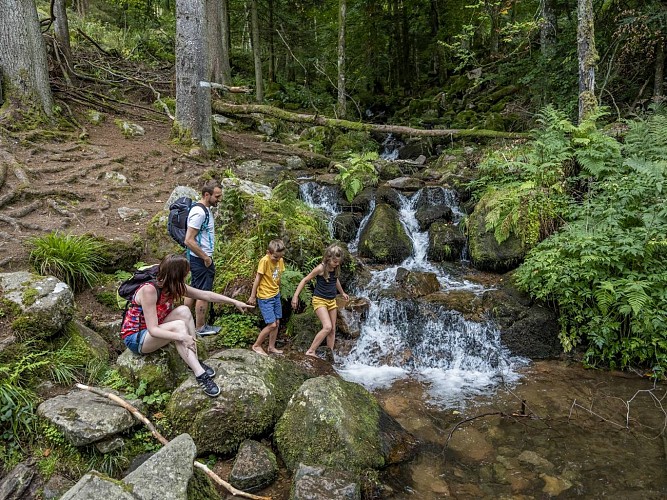 Hiking trail CDF02: The Serva waterfall via the Sommerhof