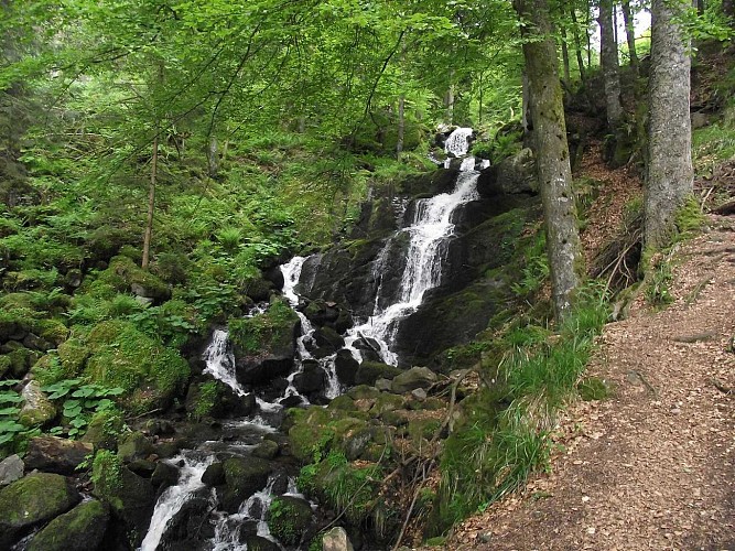 Hiking trail CDF02: The Serva waterfall via the Sommerhof