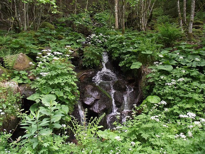 Circuit rando CDF02 :  La cascade de la Serva par le Sommerhof