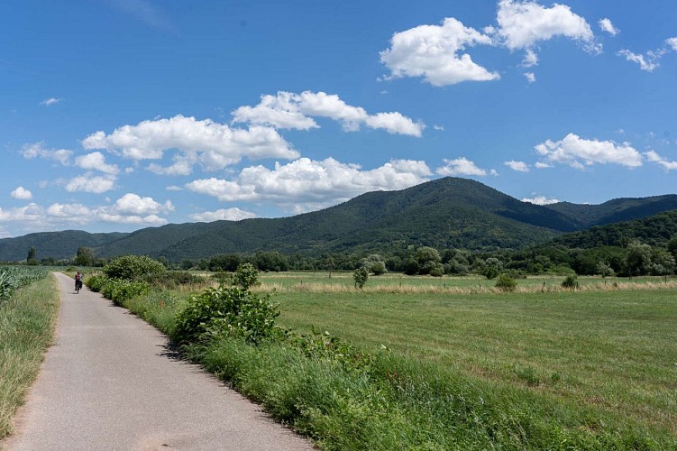 Radweg des Münstertals