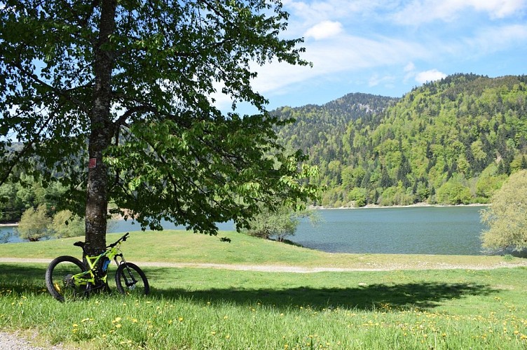 Circuit VTT n°10 : La boucle de la Neumatt