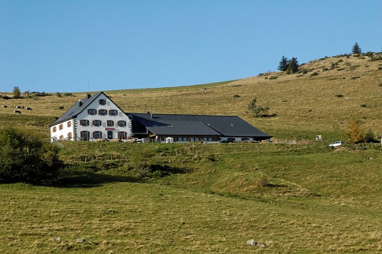 Balade ferme-auberge Kahlenwasen : goûter la paix…