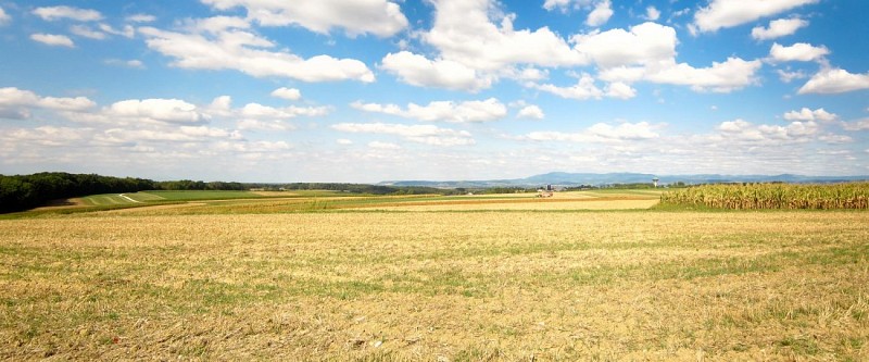 Paysage agricole sur les hauteurs de Hagenthal