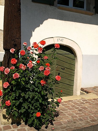 Maison située à Hagenthal