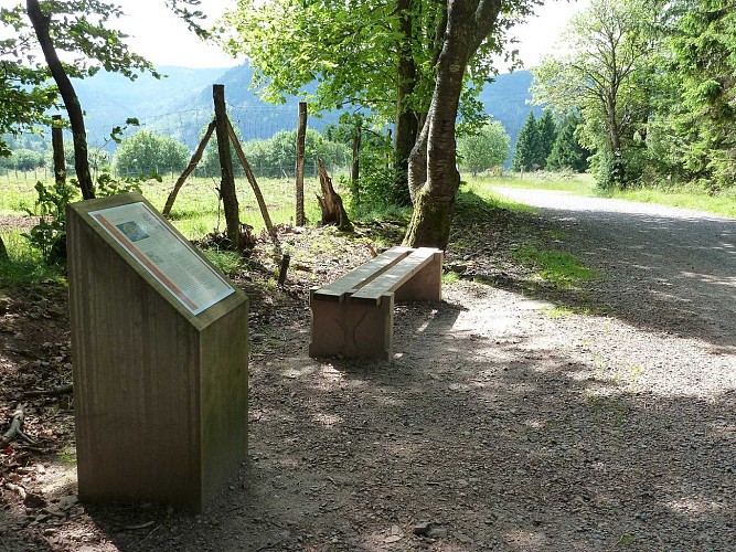 Hiking trail C06 : In the land of Salm