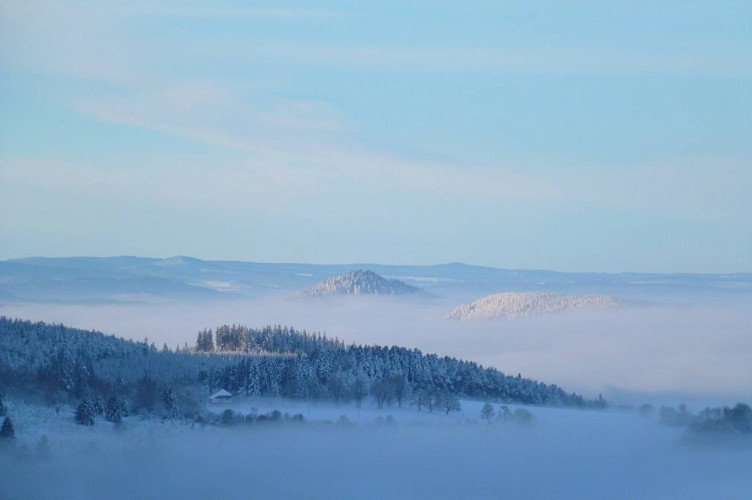 Spazierweg auf der Hochebene "Champ du Feu"