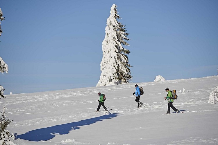 Champ du feu footpath