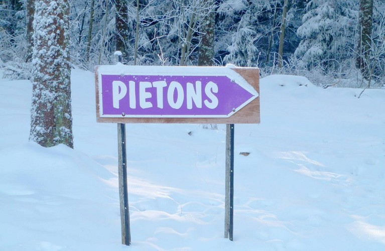 Sentier piéton du Champ du feu