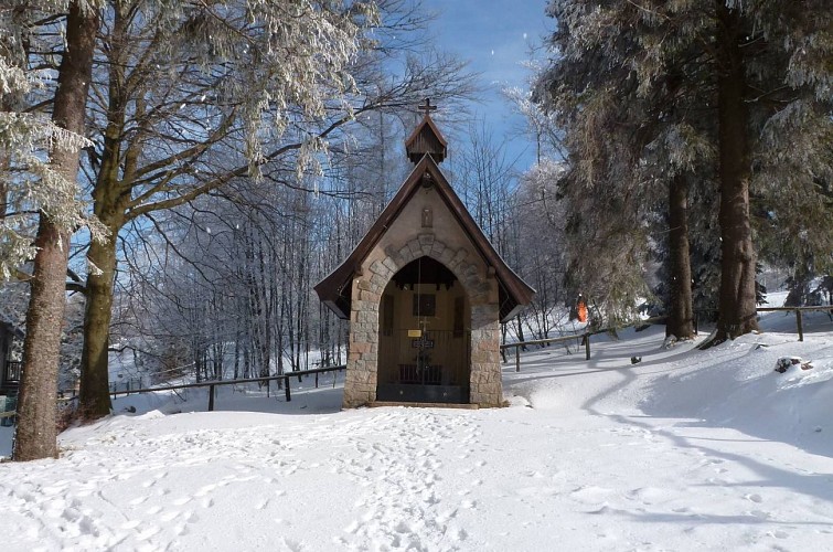 Sentier piéton du Champ du feu