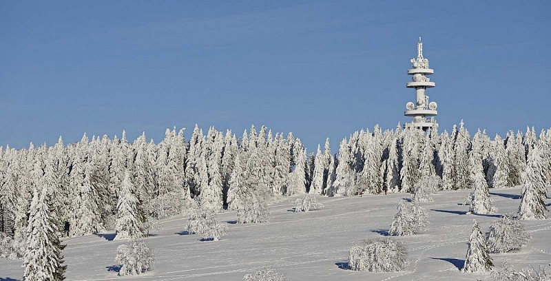 Sentier piéton du Champ du feu